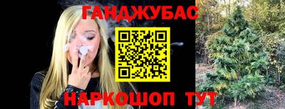 крисы Бийск