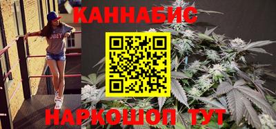 крисы Бийск