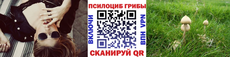Псилоцибиновые грибы ЛСД  Еманжелинск 