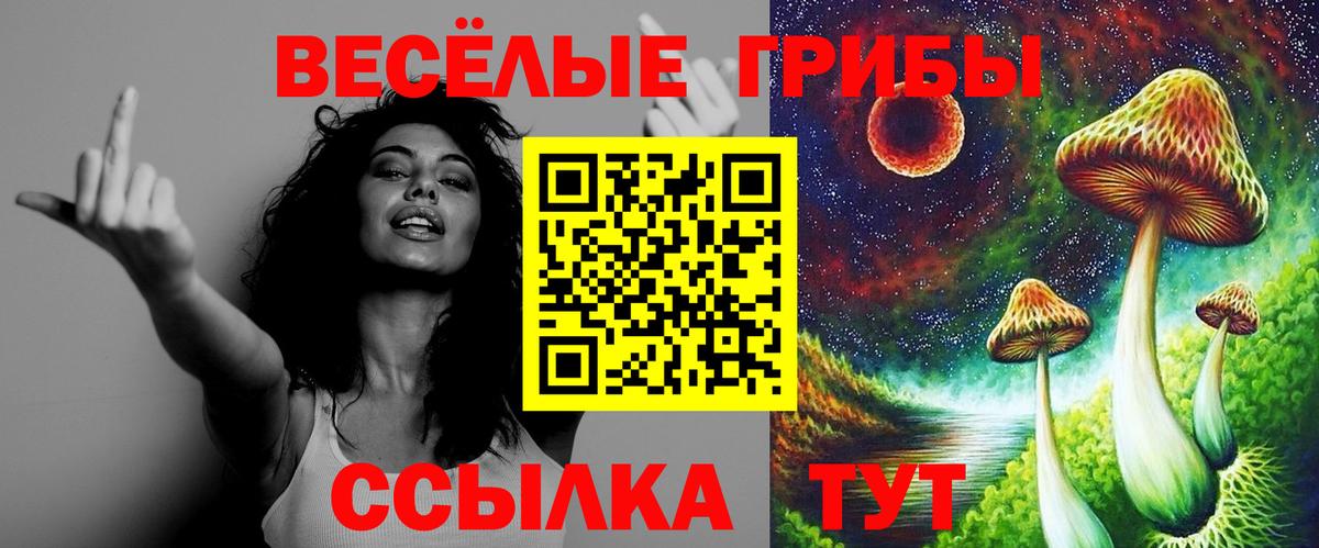 Галлюциногенные грибы MAGIC MUSHROOMS  Вход с VPN  Еманжелинск 