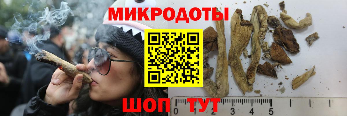 Псилоцибиновые грибы Cubensis Еманжелинск